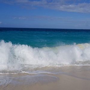 Meet your Posher, Braisy